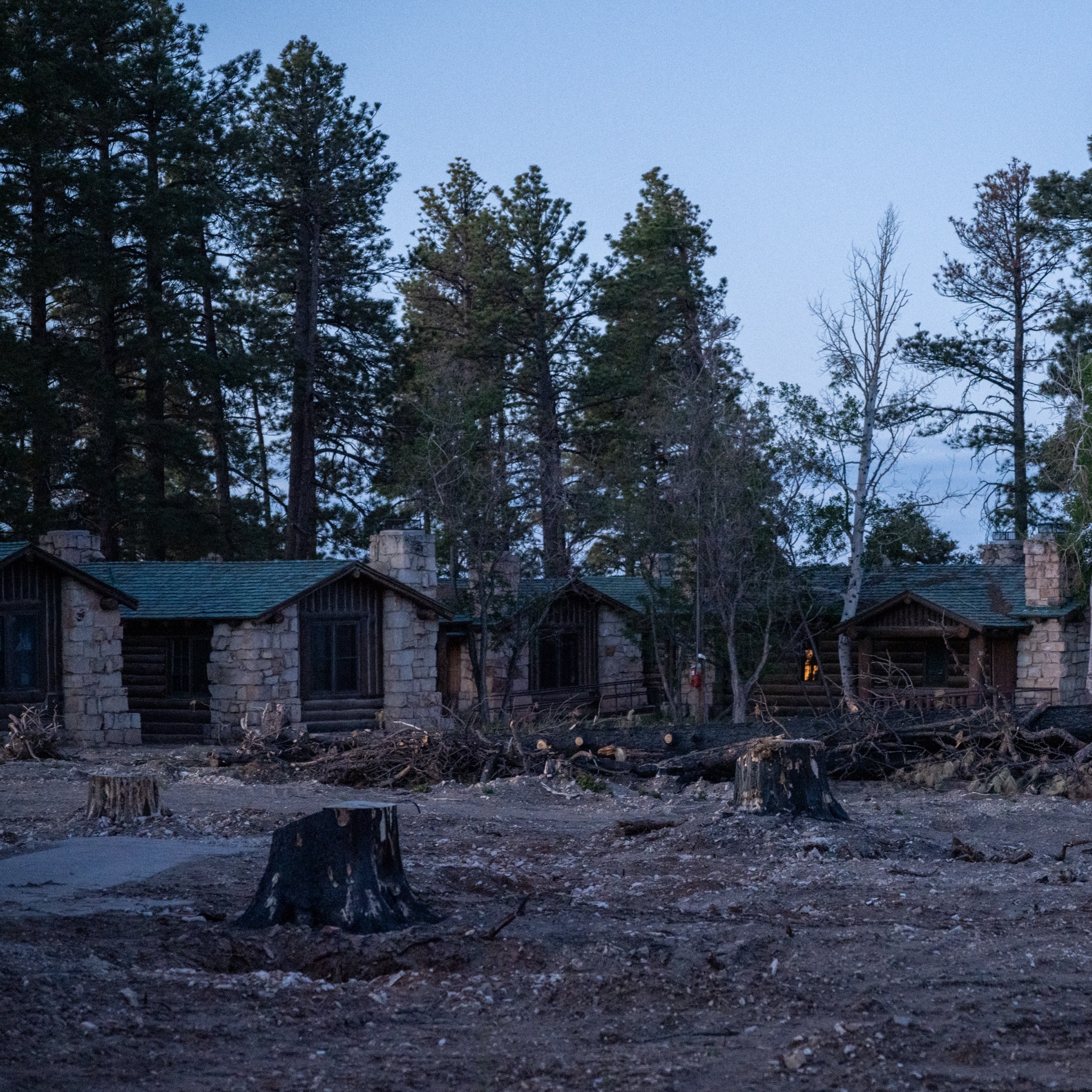 Stone cabins on the North Rim surrounded by cut tree stumps and fire debris at dusk