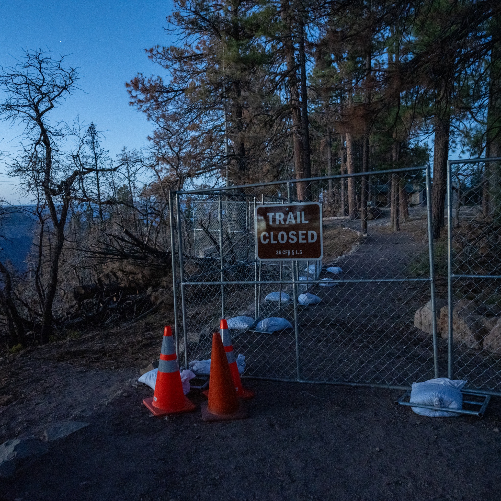 A Trail Closed sign on a chain-link fence among fire-burned trees on the North Rim at dawn
