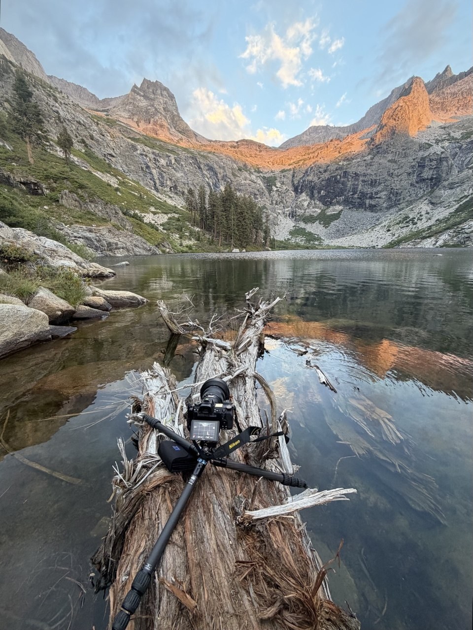A Nikon camera on a tripod set up on a submerged log at the edge of Hamilton Lake, alpenglow on the peaks behind