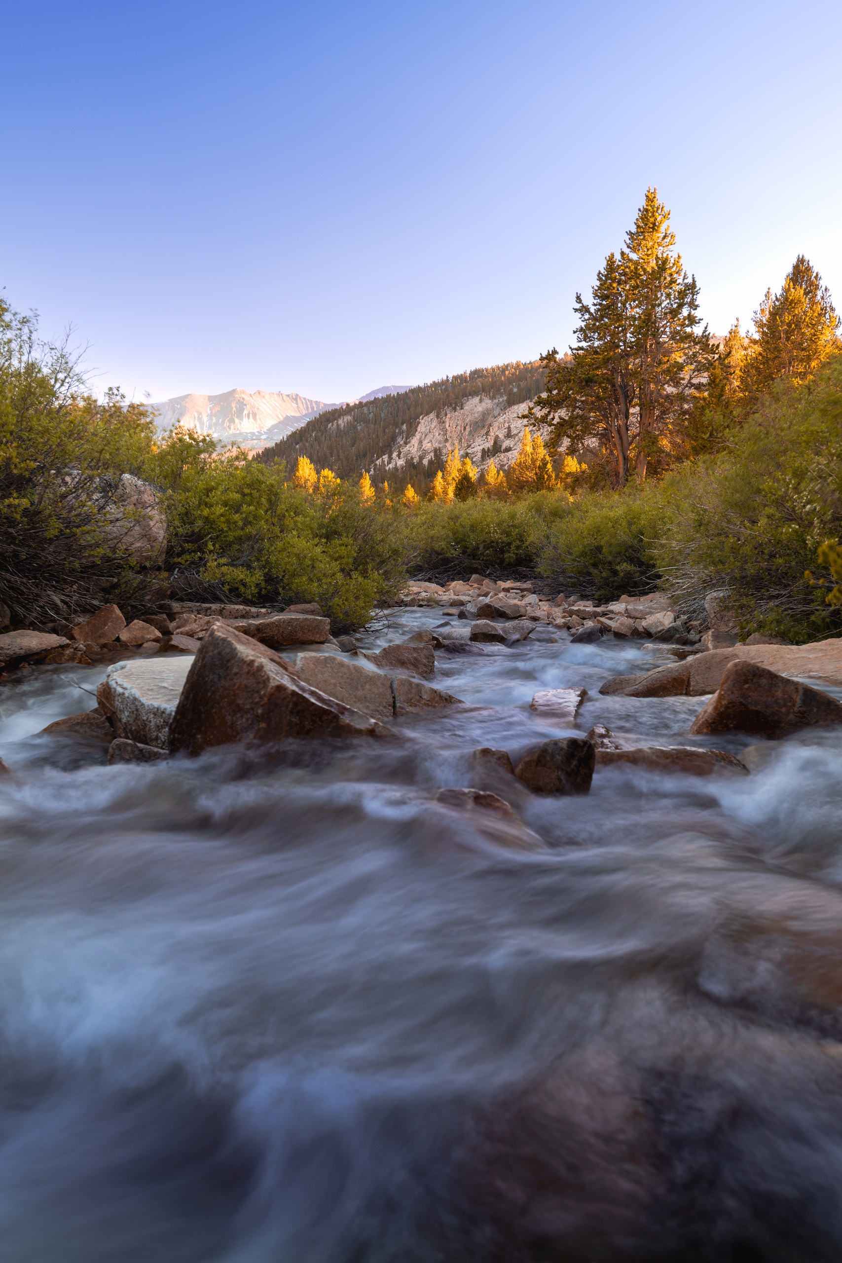 Long exposure of Tyndall Creek rushing over rocks at golden hour with sunlit trees and peaks behind, John Muir Trail