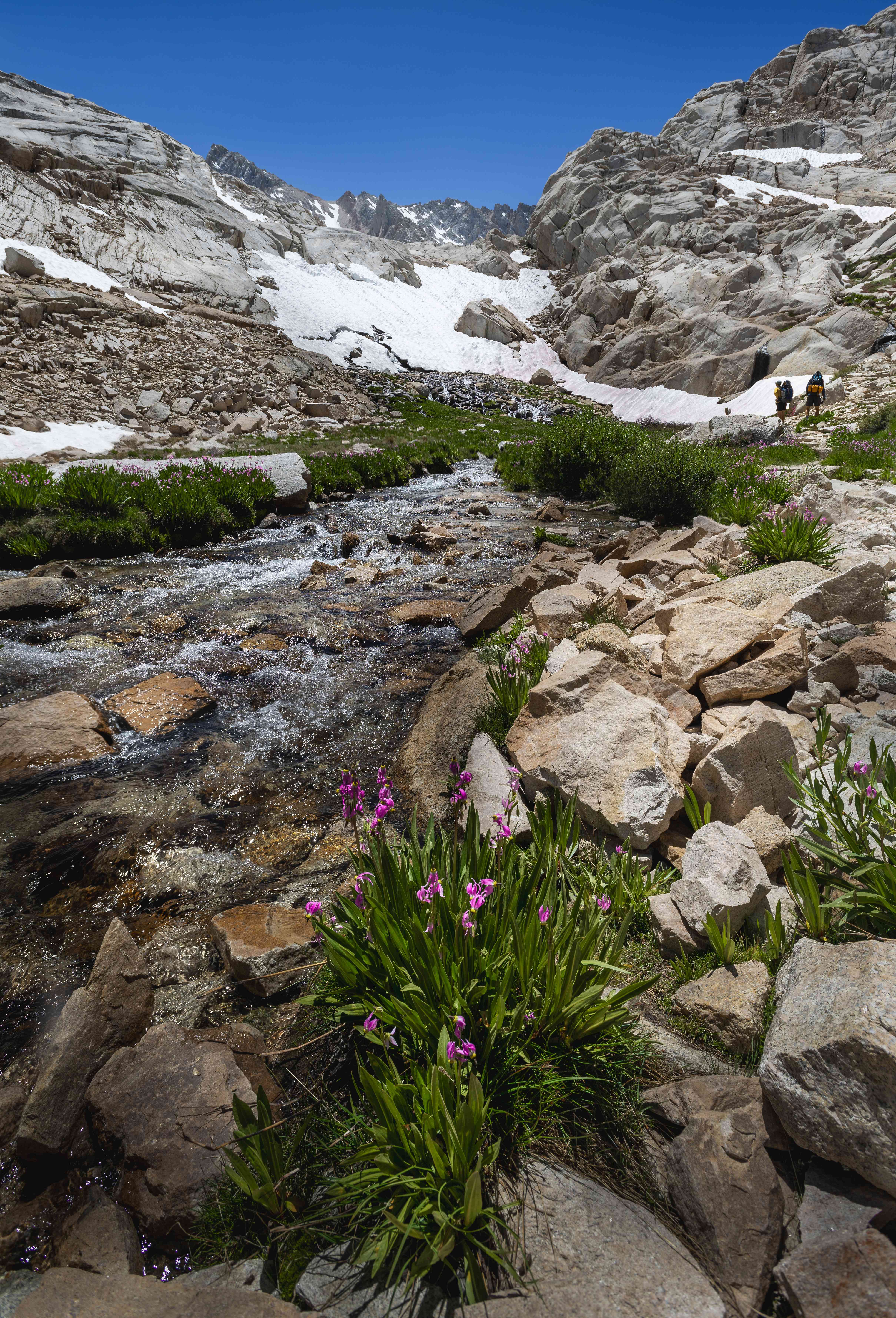 Day 1 — John Muir Trail photo by Danil Zanozin