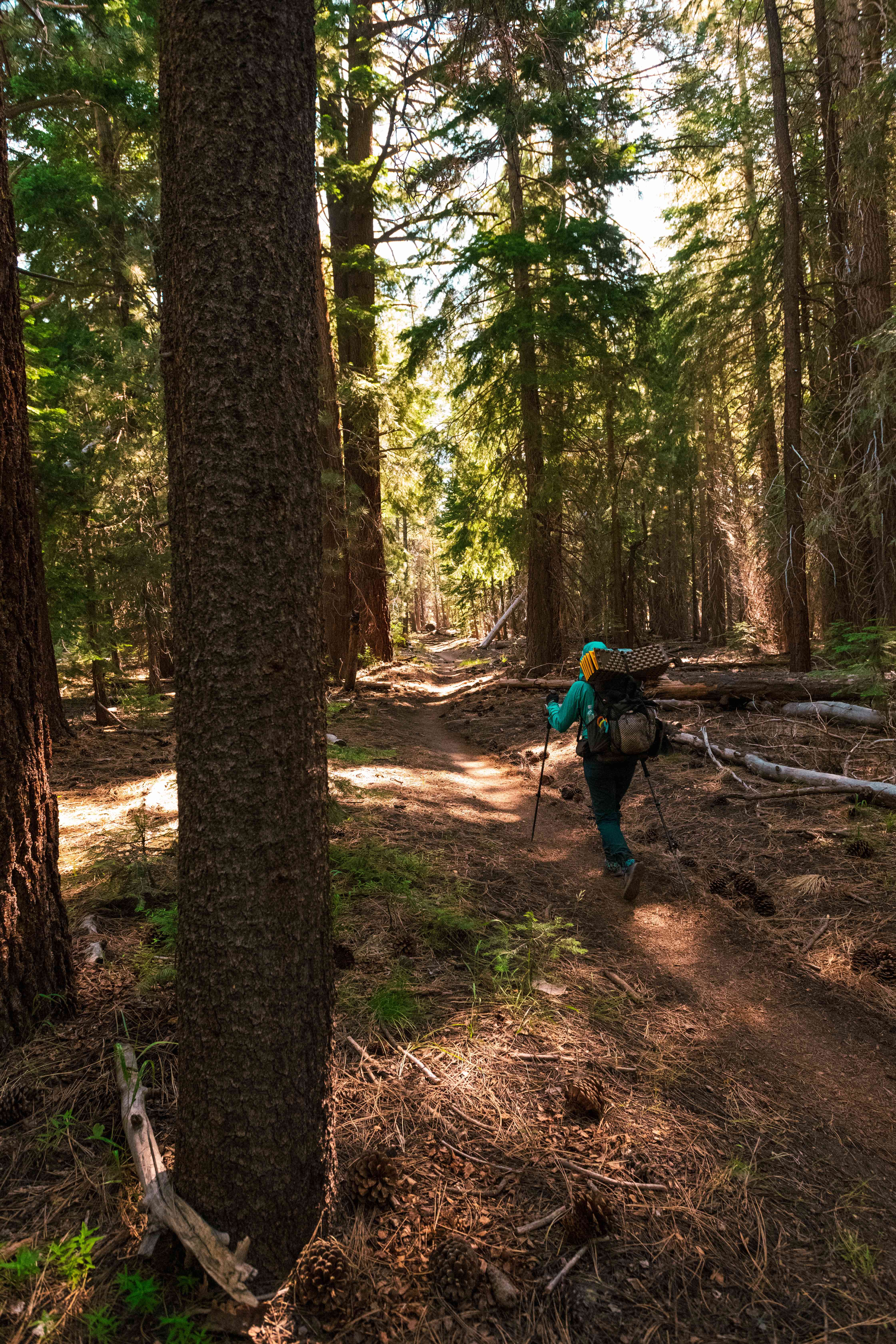 Day 6 — John Muir Trail photo by Danil Zanozin
