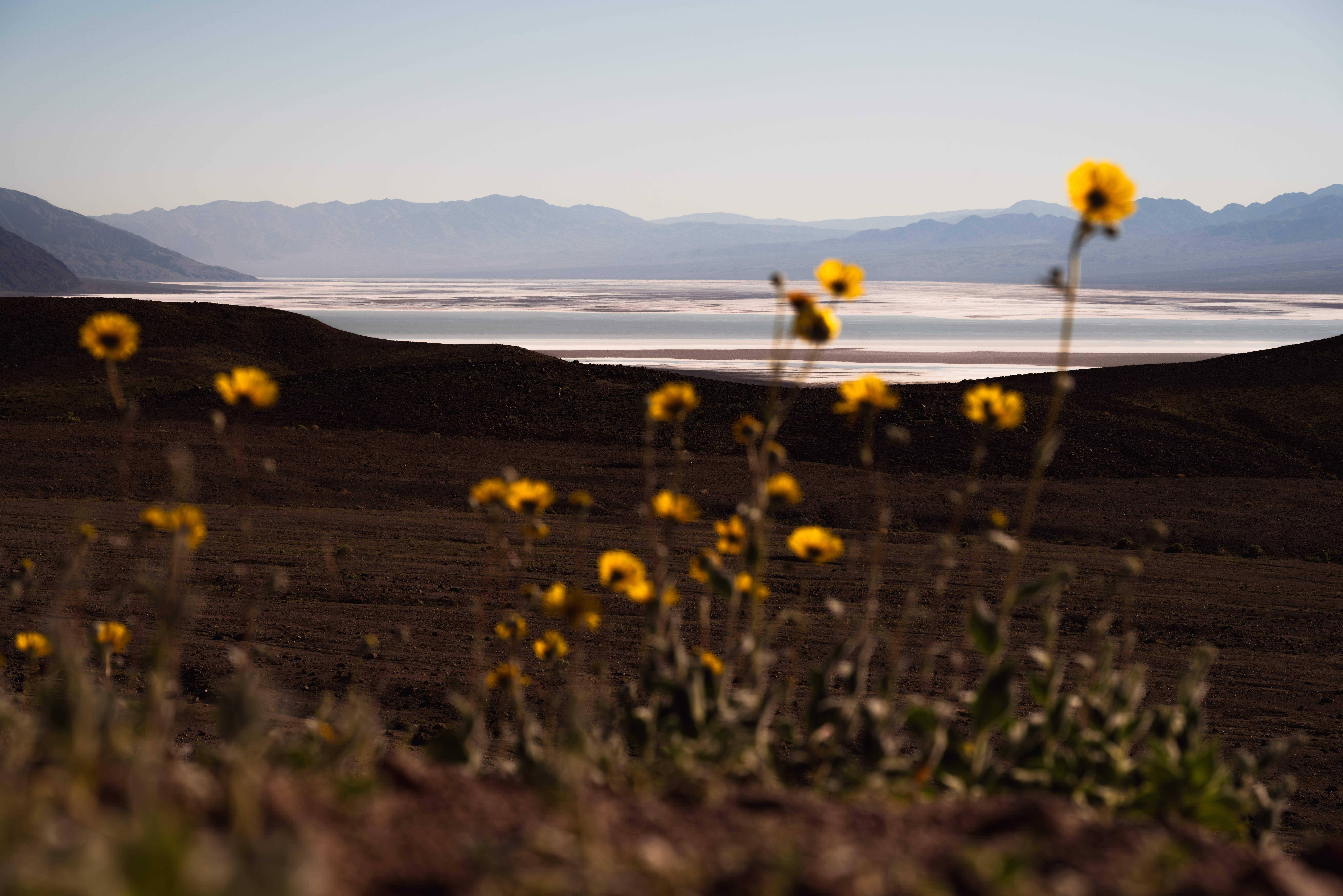 Death Valley photograph by Danil Zanozin (DSC5570)