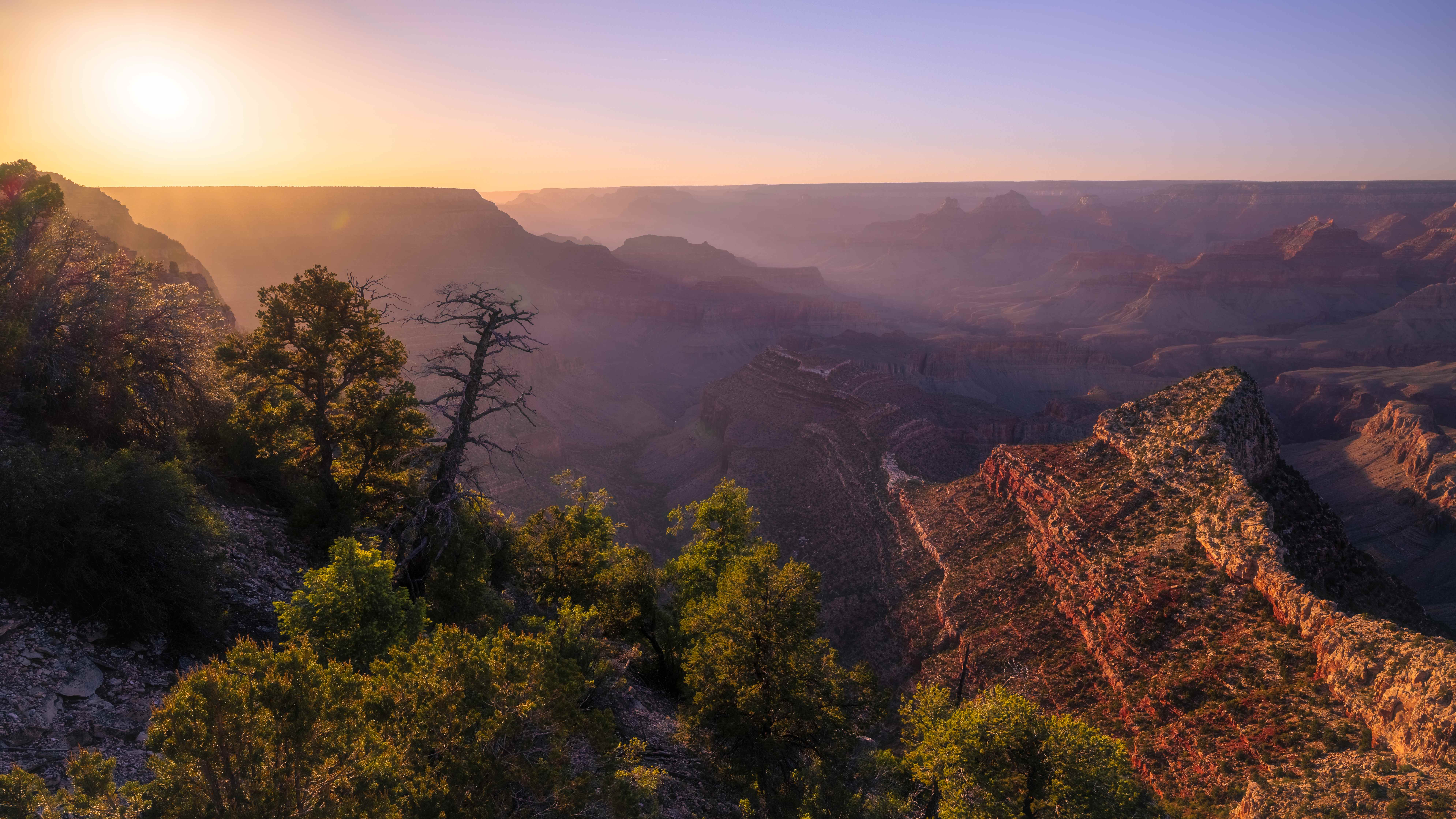 A wide golden-hour view of the Grand Canyon from Grandview Point, the low sun glowing through haze above a dead tree.