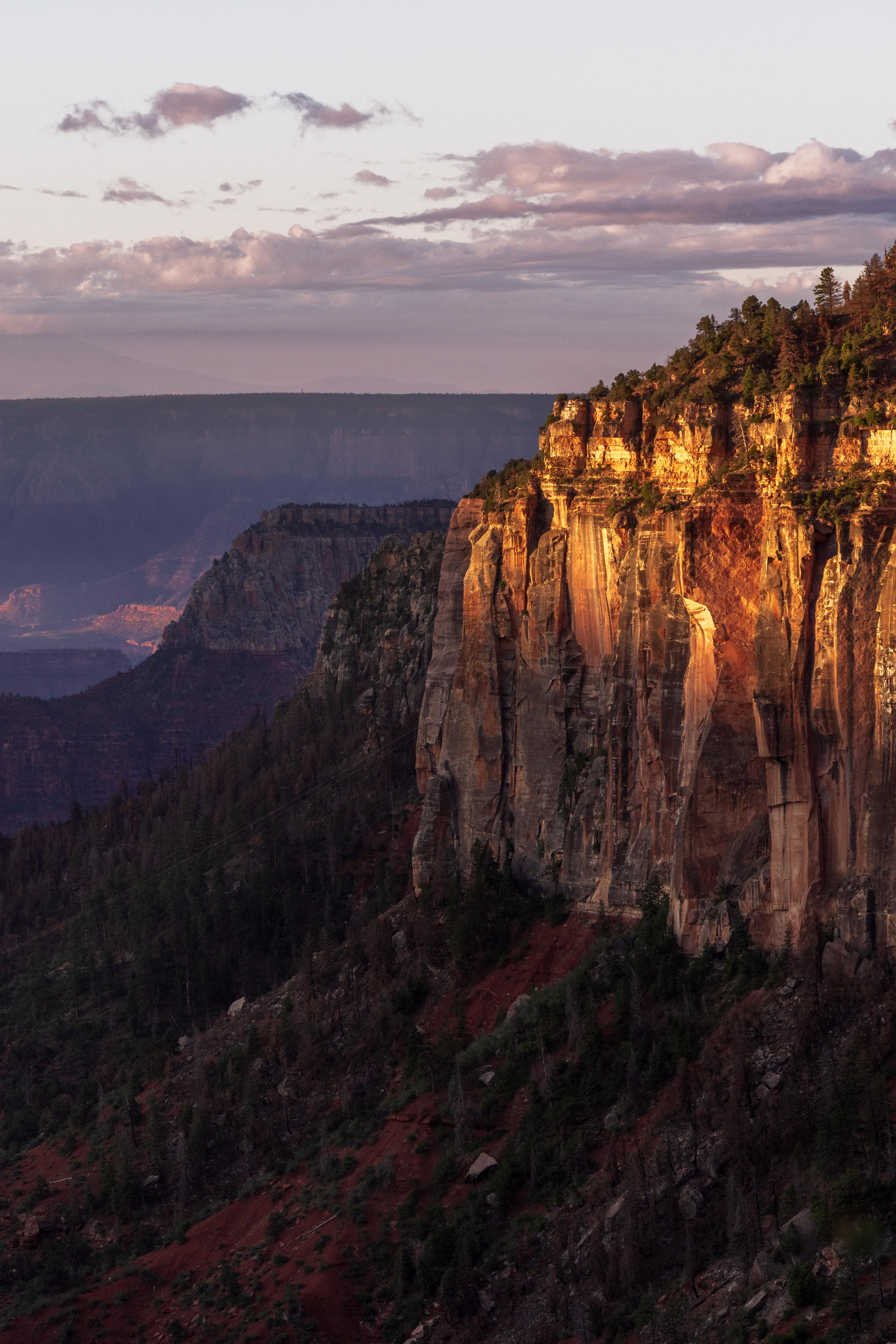 Warm morning light on a canyon wall seen from Coconino Overlook on the North Kaibab Trail
