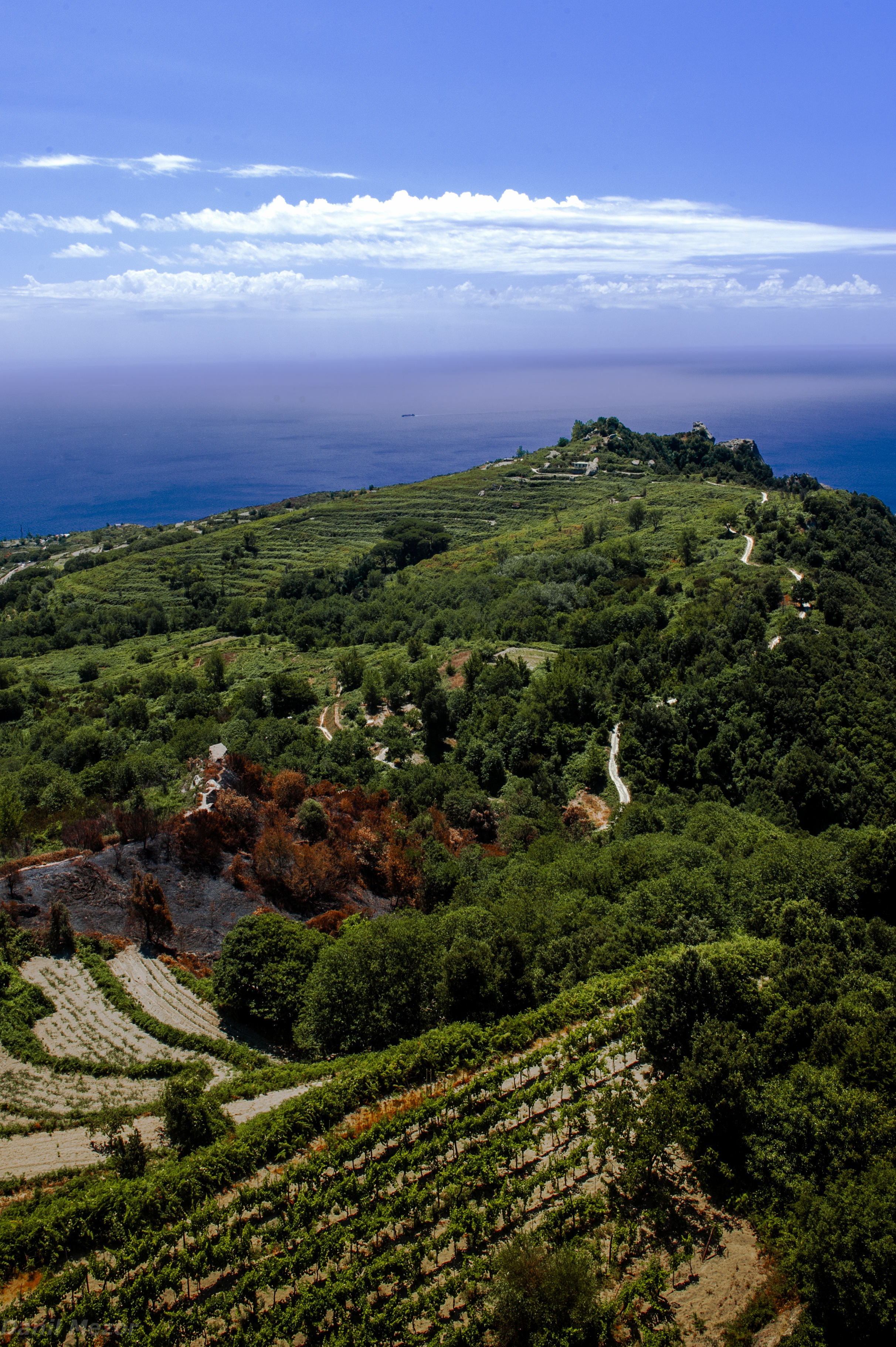 Landscapes photography gallery preview