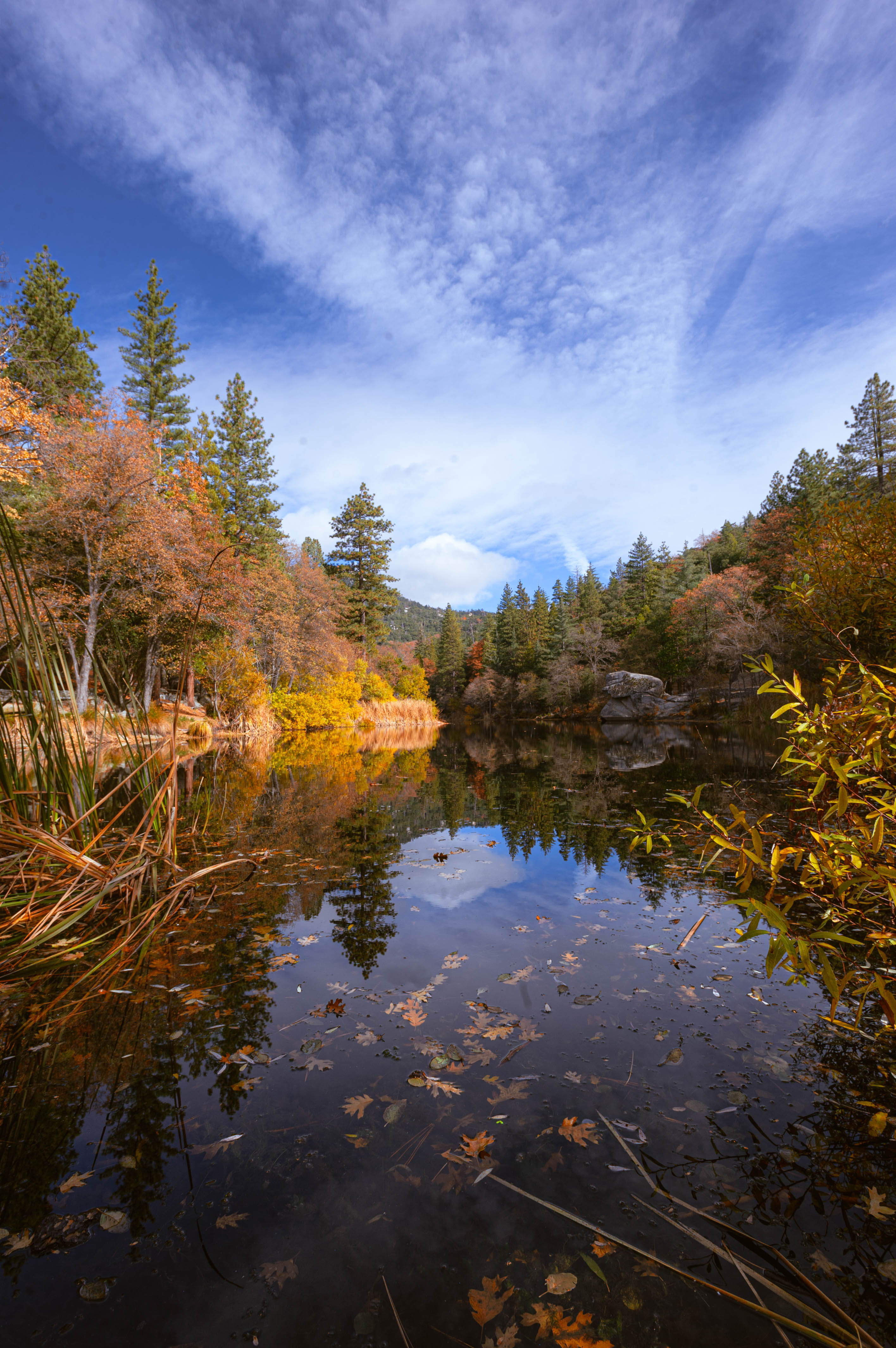 Landscapes photograph by Danil Zanozin (AC16043)