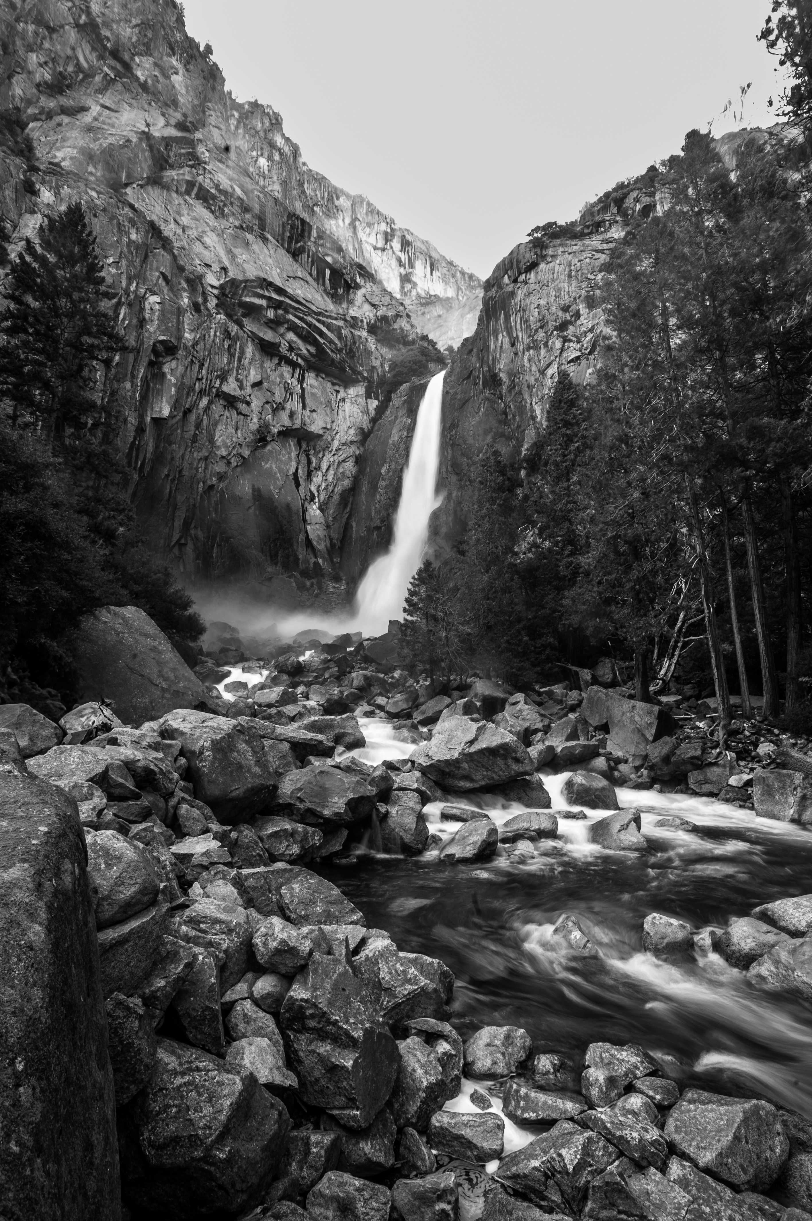 Photograph by Danil Zanozin (AC16711)