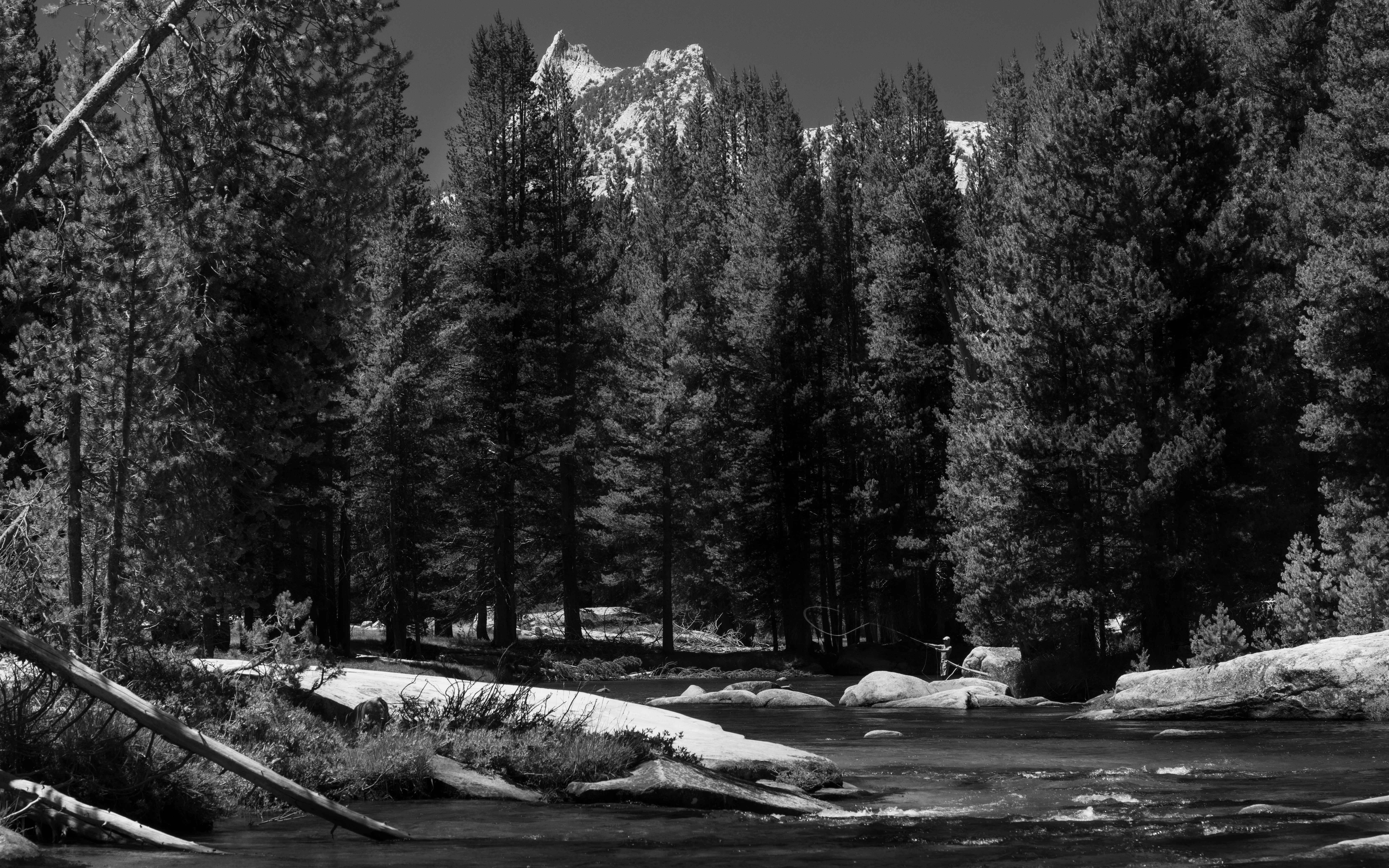 Yosemite photograph by Danil Zanozin (DSC9228)