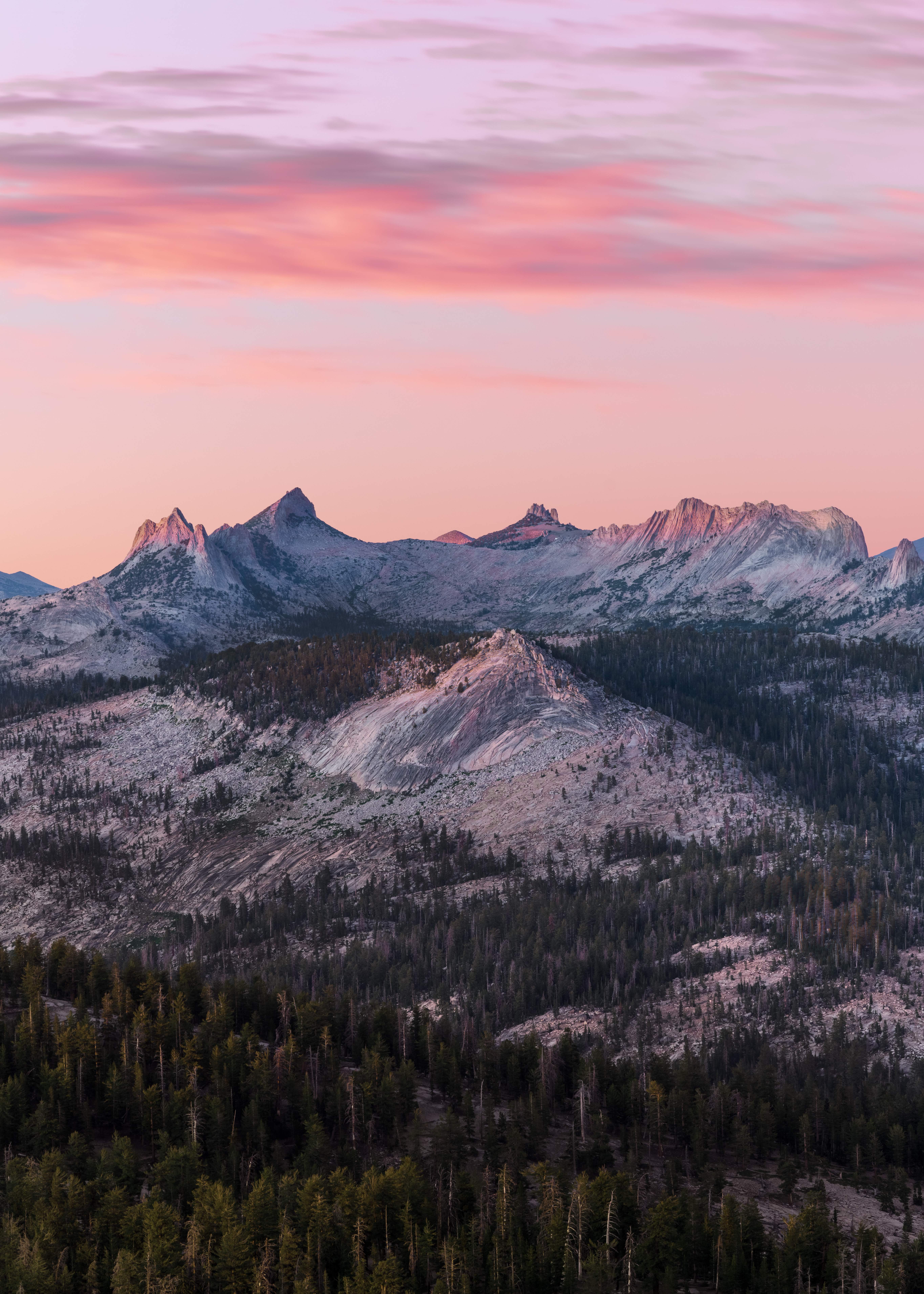 Yosemite photograph by Danil Zanozin (DSC9497)